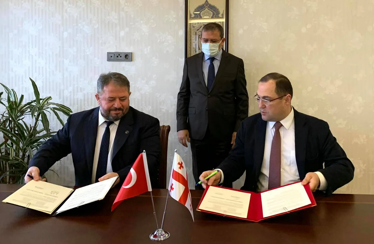 Turkey, Georgia strengthen energy cooperation 