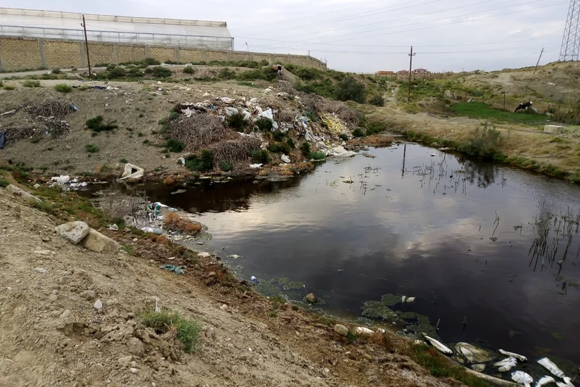 ETSN ətrafa tullantılar atan istixana ilə bağlı qərar verdi