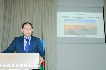 Azərbaycanda bu il 7 növ pambıq əkilib