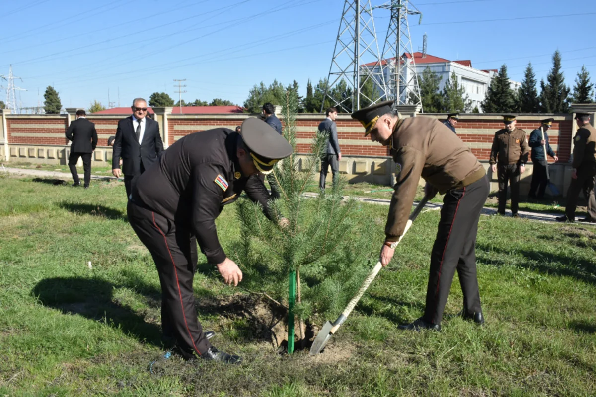 FHN-in regional mərkəzlərində ağacəkmə aksiyaları keçirilib