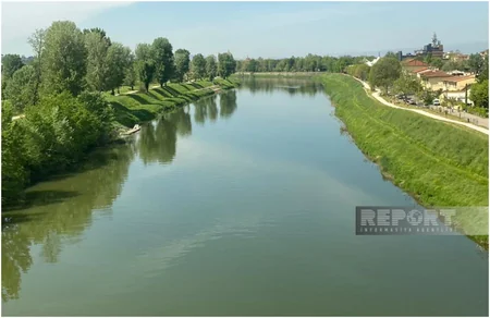 Lessons of Italian: wine rivers and olive banks...