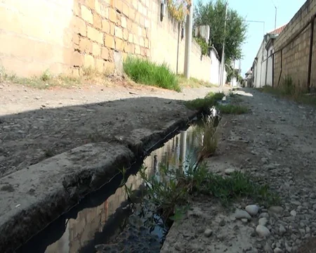 Kürdəmirin mərkəzində antisanitariya: sakinlər kanalizasiya probleminin həllini gözləyir - REPORTAJ