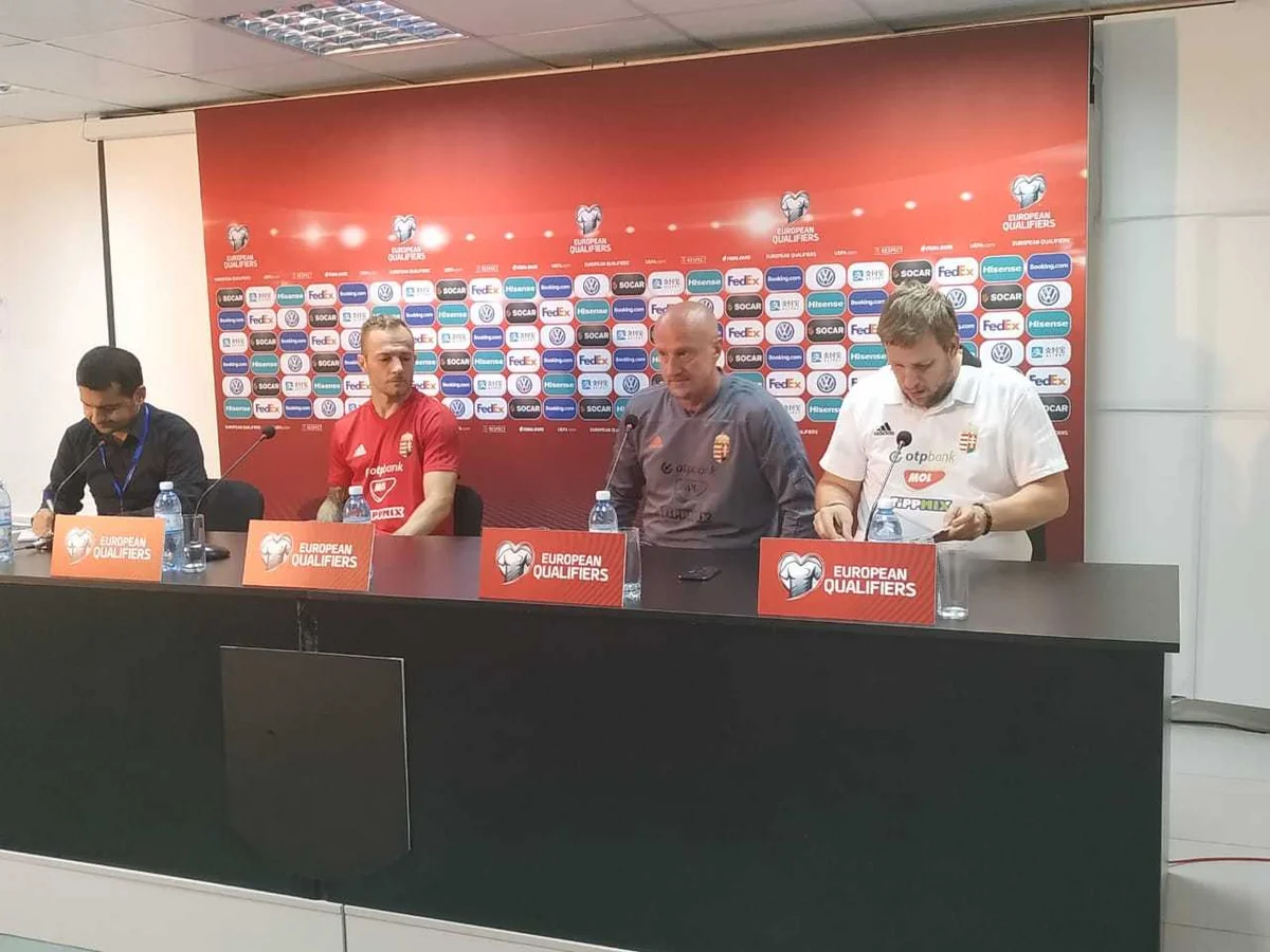 Qerqe Lovrençiç: Bakıya qələbə üçün gəlmişik