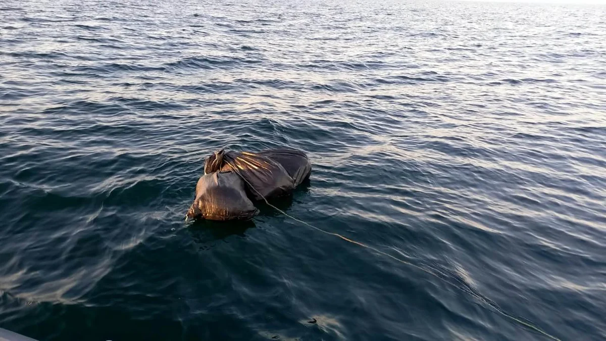 DSX: Xəzər dənizində 14 kiloqramdan çox marixuana aşkarlanıb