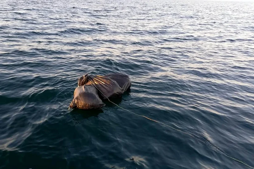 DSX: Xəzər dənizində 14 kiloqramdan çox marixuana aşkarlanıb