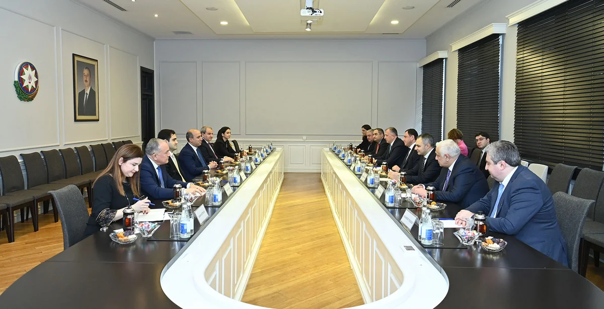 Azərbaycanla Gürcüstan arasında təhsil sahəsində müxtəlif istiqamətlər üzrə əməkdaşlıq müzakirə edilib