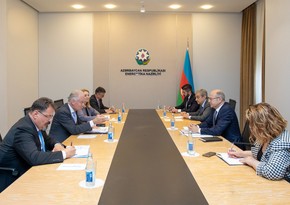 Azerbaijani minister, EU official mull supply of green energy and hydrogen
