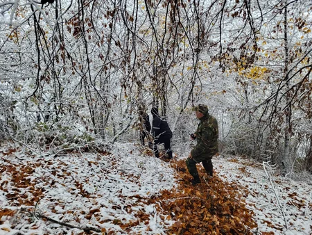 МЧС: Продолжаются поиски потерявшегося в Габале