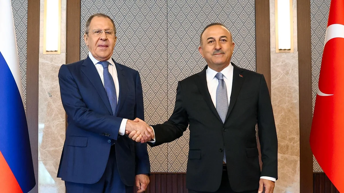 Cavusoglu, Lavrov to meet soon