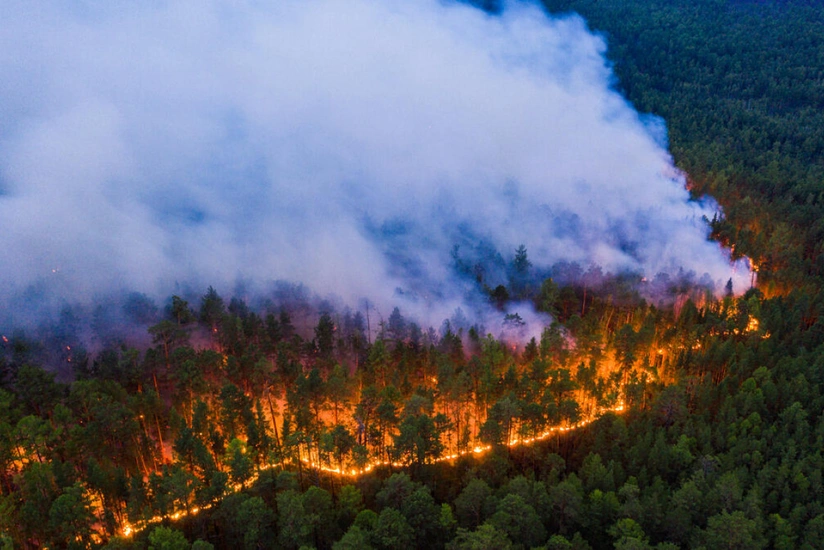 Smoke from Siberian wildfires covers Mongolian capital