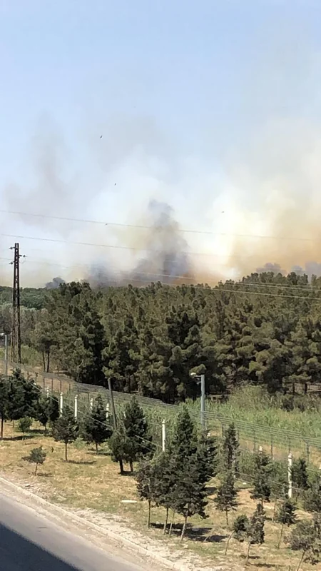 Fire near Jeyranbatan reservoir extinguished - UPDATED