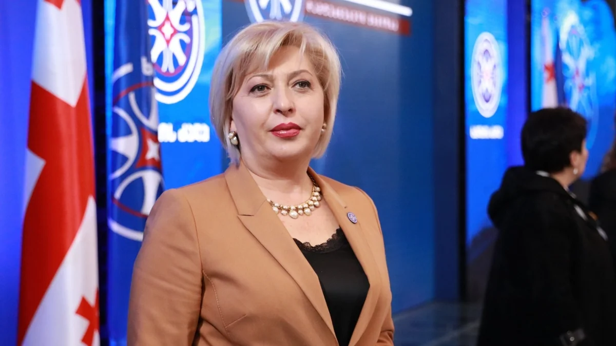 Gürcü siyasətçi Qərb ölkələrinin səfirlərini ikili standartda və cəmiyyəti parçalamaqda ittiham edib