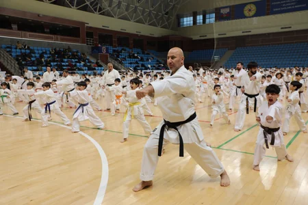 Karate üzrə ümumrespublika seminarı keçirilib