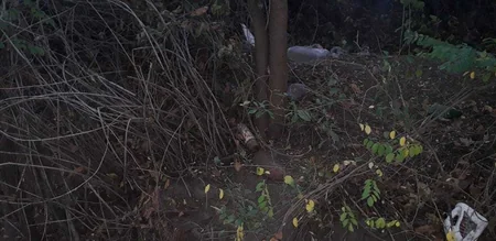 Qazax rayonunda top mərmisi tapılıb