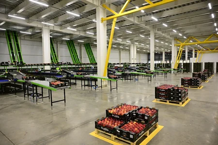 President Ilham Aliyev inspects operations of horticulture and cold storage complex in Gusar District