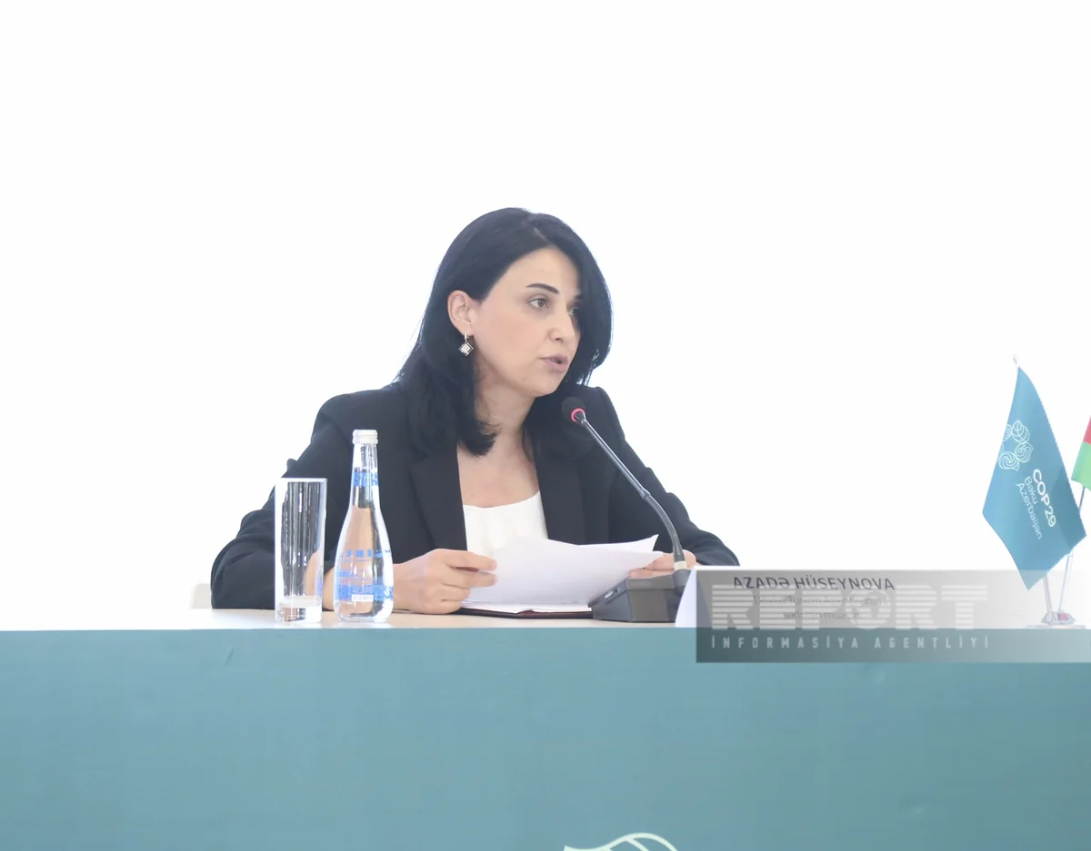 Azerbaijan to activate online reservation system for COP29 participants today