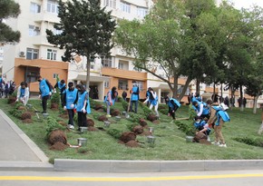 Abadlaşdırılan növbəti həyət sakinlərin istifadəsinə verilib