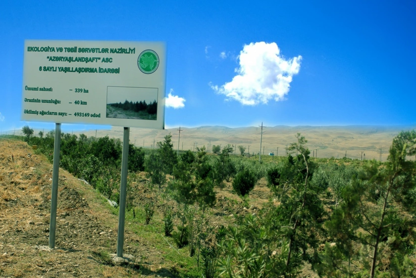 Hesablama Palatası dövlət şirkətində audit zamanı pozuntular aşkar edib