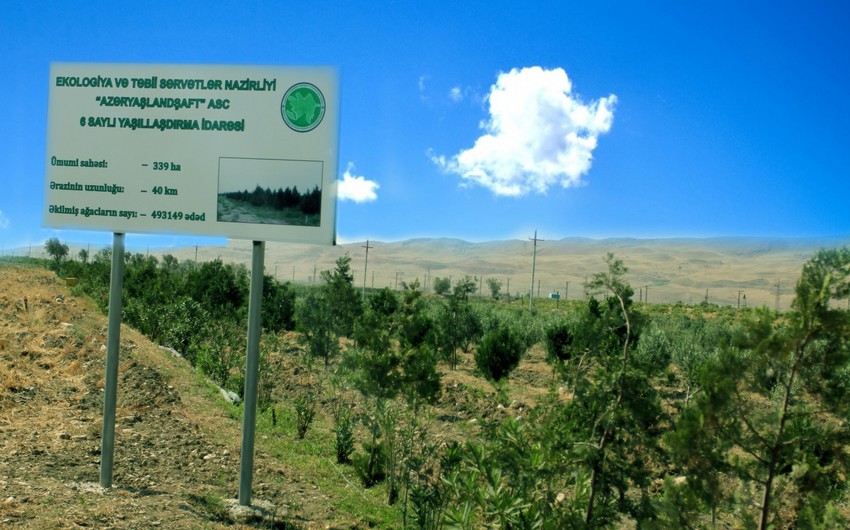 Hesablama Palatası dövlət şirkətində audit zamanı pozuntular aşkar edib