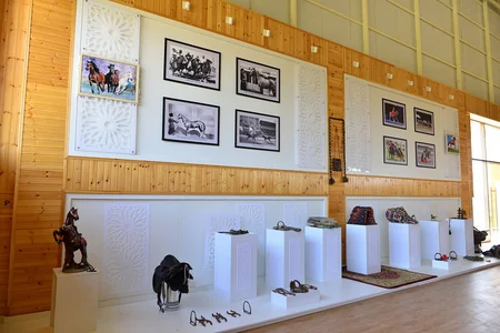 Dünyanın ən gözəl və üstün Qarabağ atları - REPORTAJ