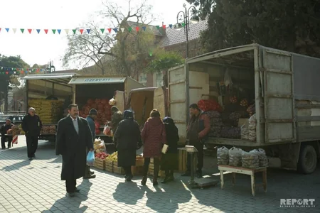 Gəncədə kənd təsərrüfatı məhsullarının satış yarmarkası təşkil olunub