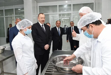 Yevlaxda balıqartırma müəssisəsi istifadəyə verilib