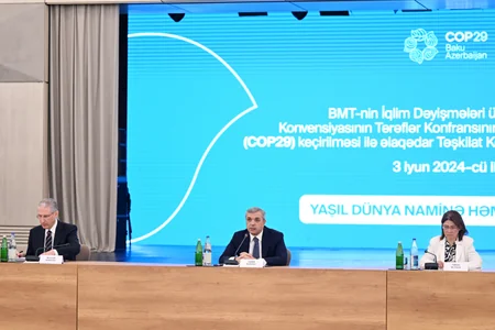 Состоялось четвертое заседание Оргкомитета в связи с COP29