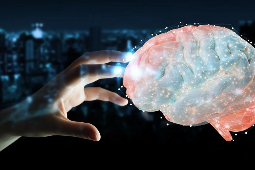 Beynimizdə qorxu necə əmələ gəlir? - ARAŞDIRMA