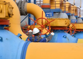 ЕС рассматривает введение нулевой квоты в отношении газа из РФ