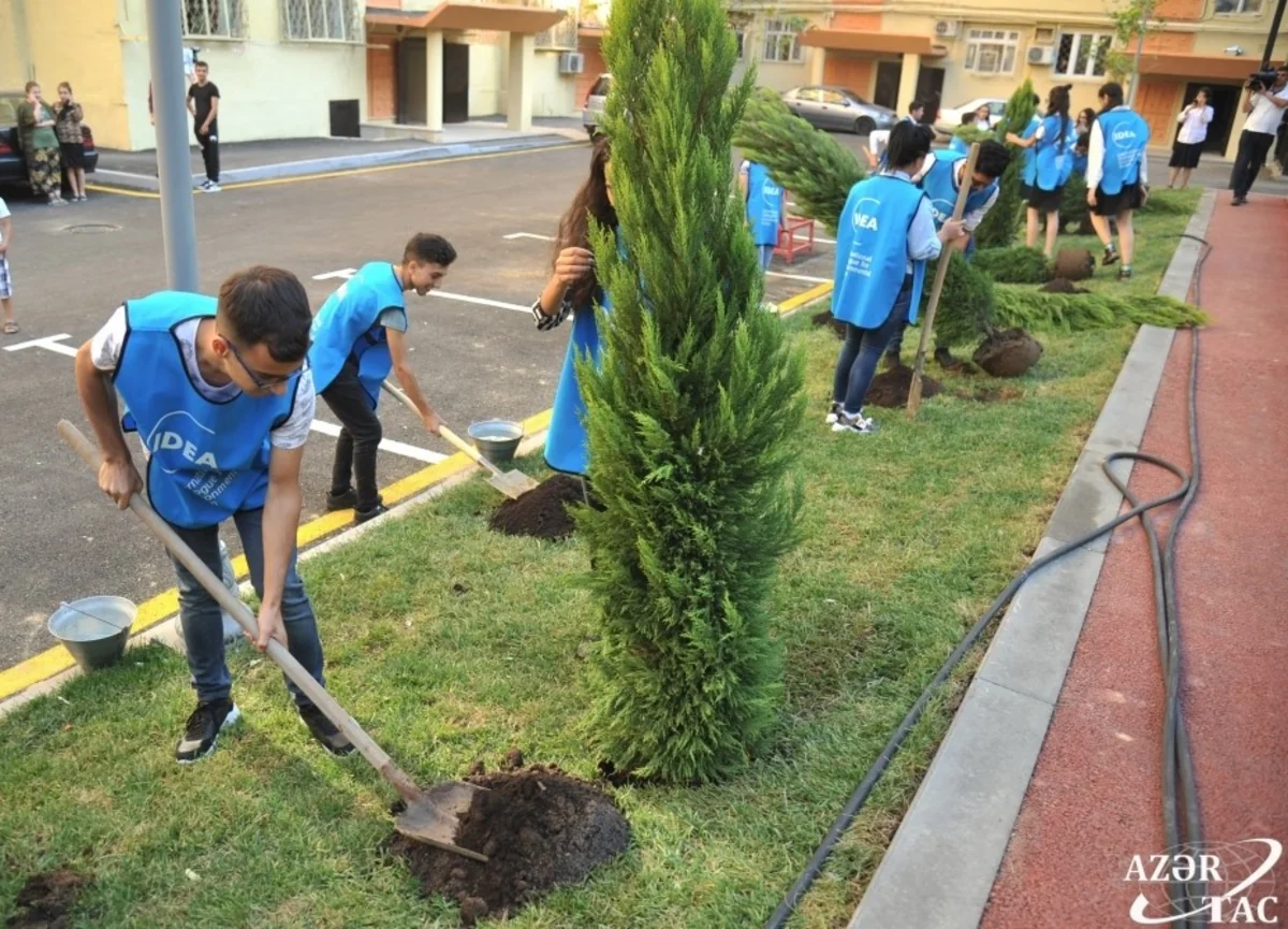 “Bizim həyət” layihəsi çərçivəsində Bakıda daha bir həyət abadlaşdırılıb