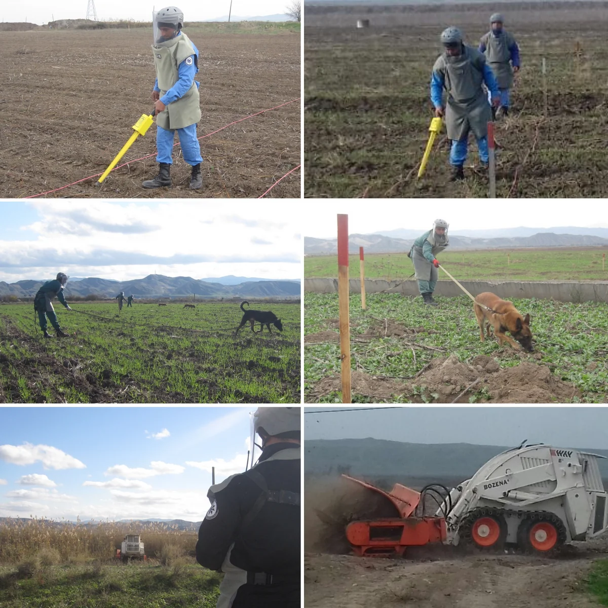 ANAMA Cocuq Mərcanlıda aparılan təmizləmə əməliyyatları barədə məlumat yayıb