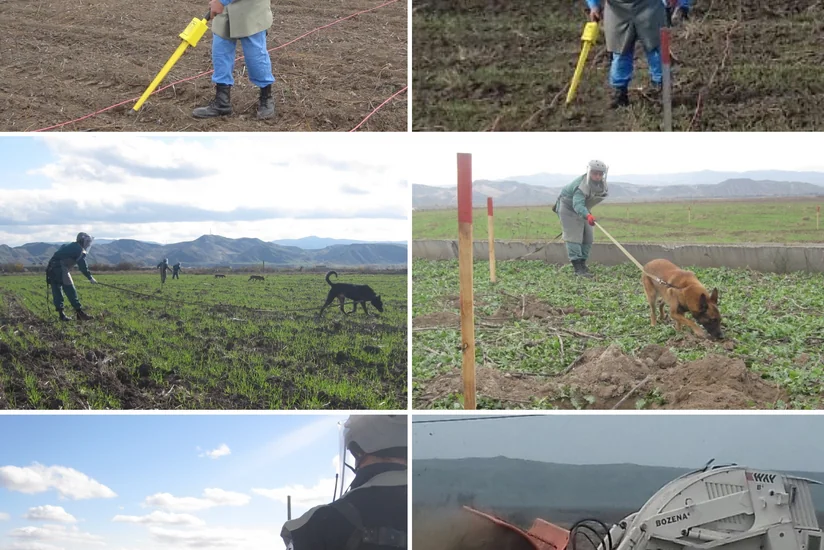 ANAMA Cocuq Mərcanlıda aparılan təmizləmə əməliyyatları barədə məlumat yayıb
