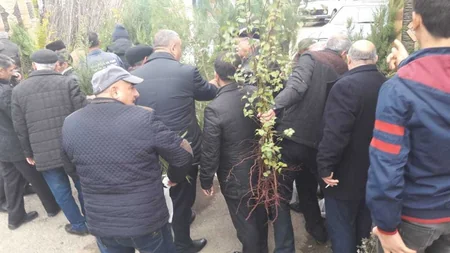 Respublika üzrə ümumilikdə 120 minə yaxın pulsuz ağac tingi paylanılıb