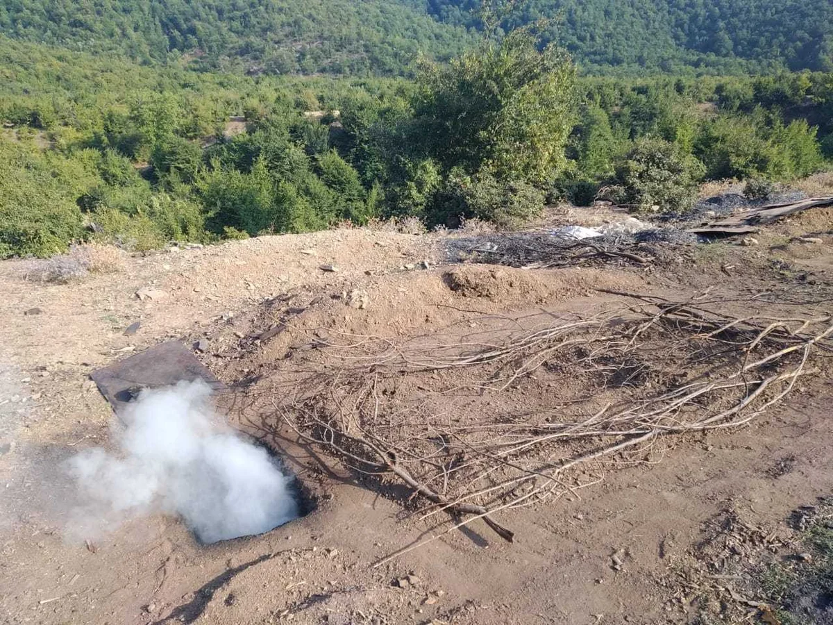 ETSN-in idarə rəisi: Kömür hazırlayanlara qarşı ciddi tədbirlər görülür