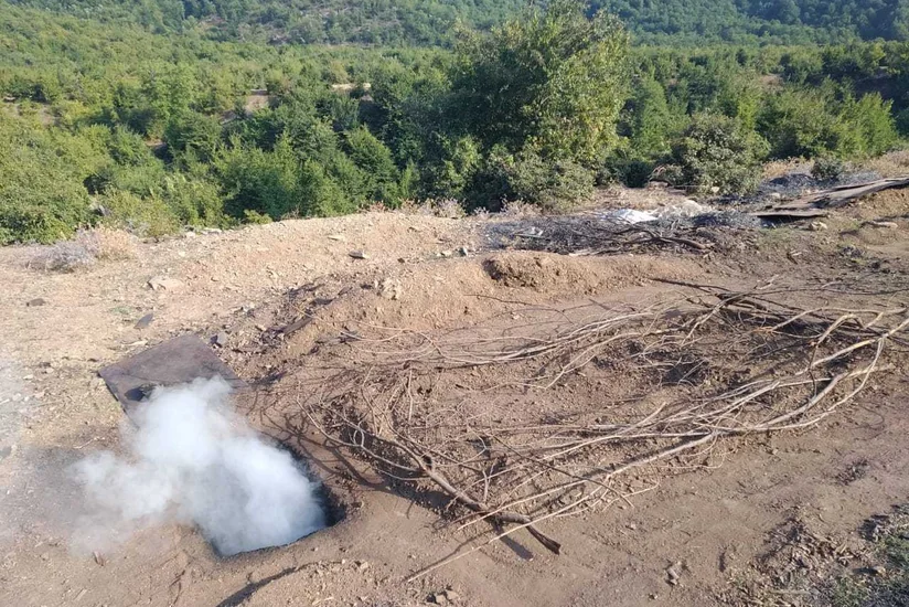 ETSN-in idarə rəisi: Kömür hazırlayanlara qarşı ciddi tədbirlər görülür