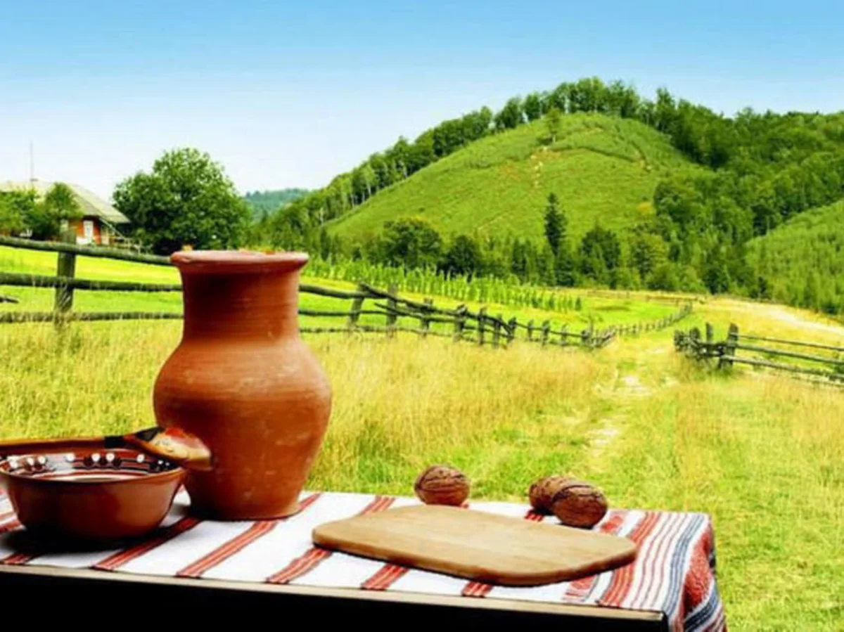 В Азербайджане смогут действовать операторы агротуризма