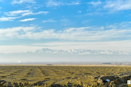 В Евлахском пилотном агропарке будут обеспечены работой 1 500 человек
