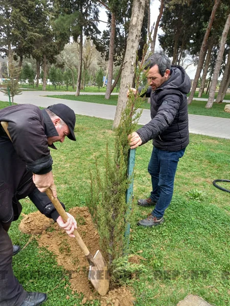Bakıda parkda ağaclar niyə kəsilib? - AÇIQLAMA