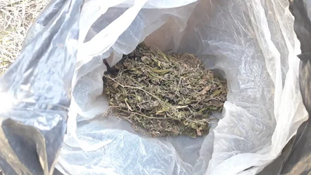 Zaqatalada evində narkotik gizlədən keçmiş məhkum saxlanılıb