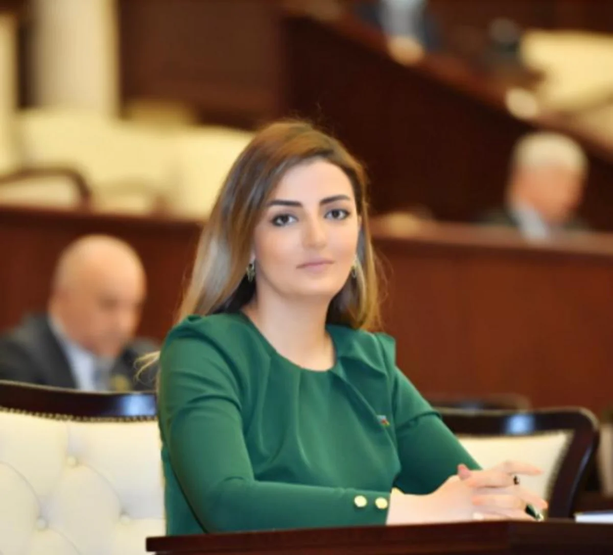 Könül Nurullayeva: Beynəlxalq təşkilatlar Ermənistanın destruktiv davranışlarına sərt reaksiya verməlidir