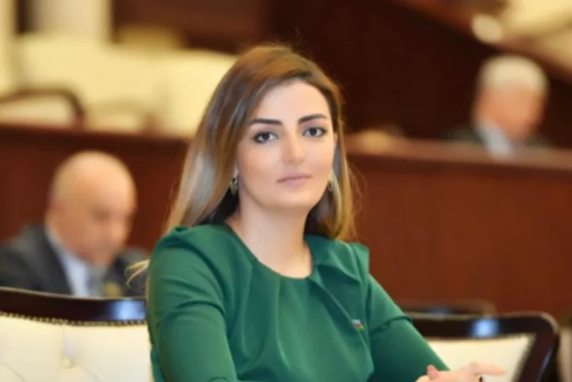 Könül Nurullayeva: Beynəlxalq təşkilatlar Ermənistanın destruktiv davranışlarına sərt reaksiya verməlidir