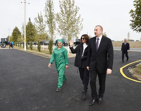 Azərbaycan Prezidenti Ağcabədi rayonunun Hindarx qəsəbəsində pambıq sahəsi ilə tanış olub