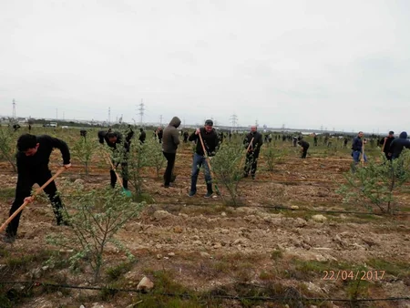 Bakıda Beynəlхalq Yer Günü ilə əlaqədar iməcilik keçirilib