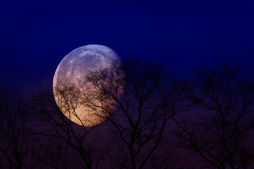 Japan to build plant on Moon