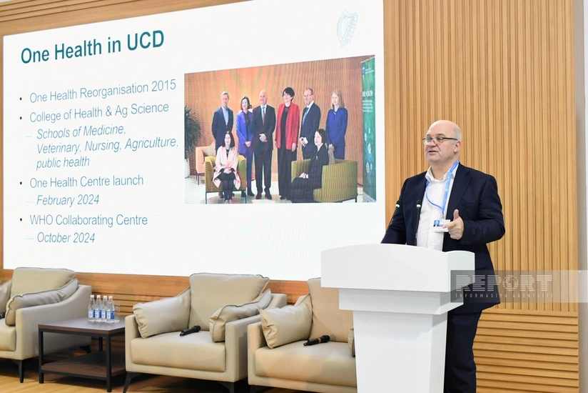 COP29-da Azərbaycanda zoonoz xəstəliklərin qarşısının alınmasına dair milli strategiya təqdim olunub