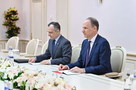 Participation of Swiss companies in restoration work in Karabakh and Eastern Zangazur discussed