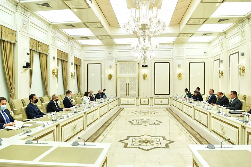 Председатель Милли Меджлиса встретилась с главой МИД Ирана