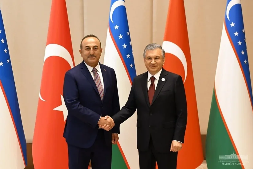 Uzbek President, Turkish FM discuss expansion of cooperation