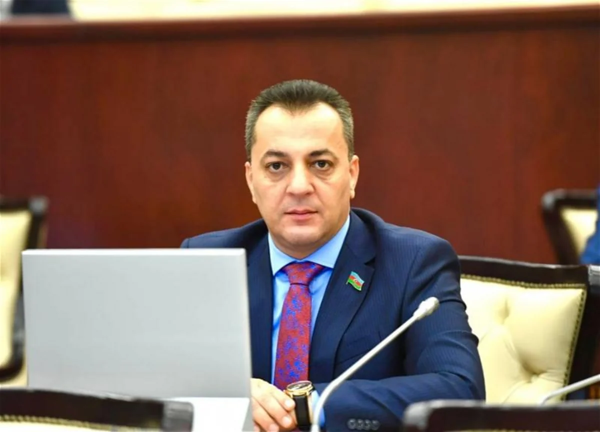 MP: Russian police behave like criminal gangs, while Kremlin remains silent