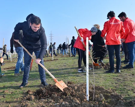 Təhsil Nazirliyi ağacəkmə aksiyası keçirib